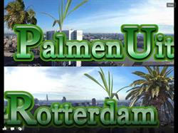 Palmen Uit Rotterdam