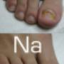 Gelnagels Wilde Pedique