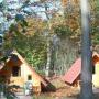 Wooden Shelter
