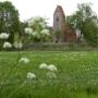 Stichting Oude Groninger Kerken