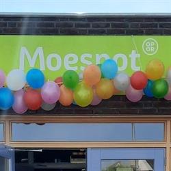Openbare Basisschool De Moespot