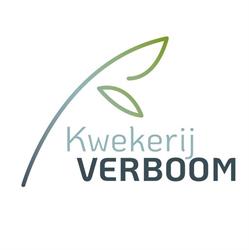 Kwekerij Verboom BV
