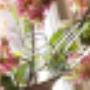 Woninginrichting My Home Interieurs