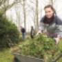 Vereniging Groninger Dorpen