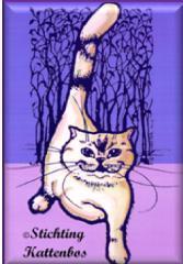 Stichting Kattenbos