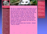 Website van Stichting Kattenbos 