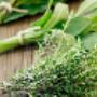 NewDiet Care BV