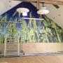 Piet Hoevenaars Sign Industries