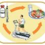Appingedam Fysiotherapie