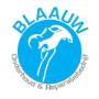 Blaauw Onderhoud & Reparatie