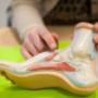 Podotherapie G J M Boot-de Vocht