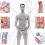 Rogier Trompert Medical Art