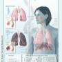 Rogier Trompert Medical Art