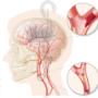 Rogier Trompert Medical Art
