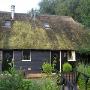 Rietdekbedrijf Bergambacht