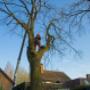 Rob Ras Tuinrealisatie