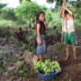 Mayakinderen in Guatemala