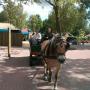 OBS 't Heidemeer Openbare Basisschool