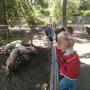 OBS 't Heidemeer Openbare Basisschool