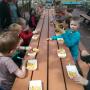 OBS 't Heidemeer Openbare Basisschool