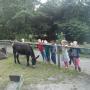 OBS 't Heidemeer Openbare Basisschool