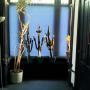 Yogastudio Ilone vd Toolen