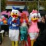 Jolie Kinderdagverblijf Administratie en Beheer