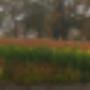 Zonnebeld Groencentrum
