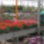 Zonnebeld Groencentrum