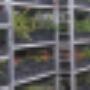 Zonnebeld Groencentrum
