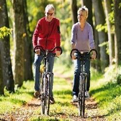 Chaletverhuur Springendalse Beek