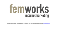Fem Works