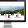 South African Wines
