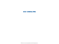 EvS Consulting