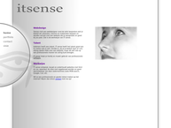 IT-sense