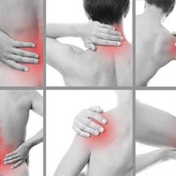 (Sport)Massage Willie Vroomen