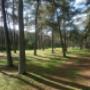 Scheepsbel Camping De