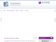 Pennings Salaris en Advies