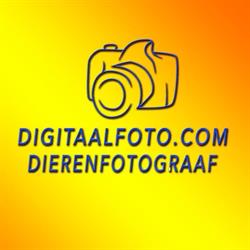 Digitaalfoto.com