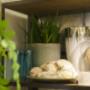 Sfeerbeeld winkel