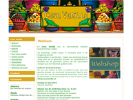 Casa Vanilla