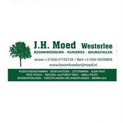 J.H. Moed Boomkwekerijen