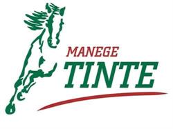 Manege Tinte