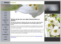 Witbol Flowers Zijdenbloemen / Planten