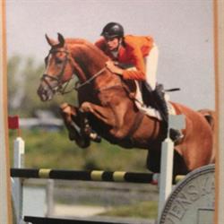Manege Van Erp