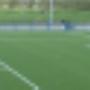 Van Rooij-Graszoden-Kunstgras-Siergrind