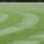 Van Rooij-Graszoden-Kunstgras-Siergrind