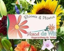 Bloemen en Planten Marcel de Wit