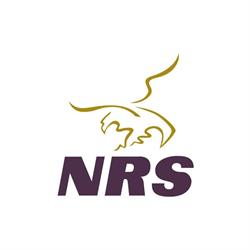 National Recruitment Services (Nrs) Bv