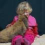 Tinley Gedragstherapie